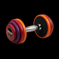 Halter Emborrachado 32kg Master Fitness