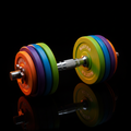 Halter Emborrachado 36kg Master Fitness