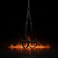 Suspension Trainer Master Fitness