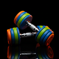 Halter Emborrachado 20kg Master Fitness