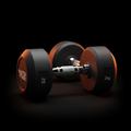 Halter Emborrachado 22kg Master Fitness