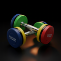 Halter Emborrachado 18kg Master Fitness